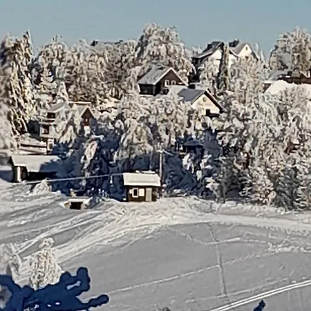 Tante Hanna Feriehus Winterberg