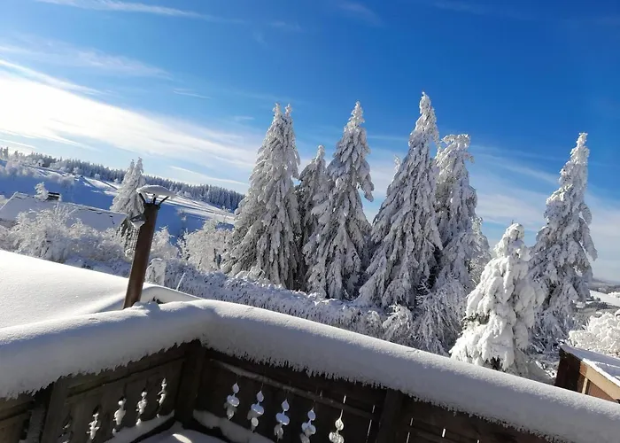 Tante Hanna * Winterberg