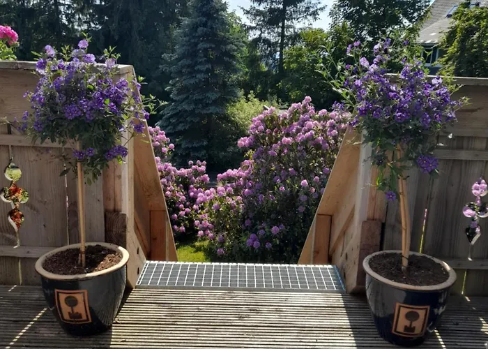 Prázdninový dům Tante Hanna *